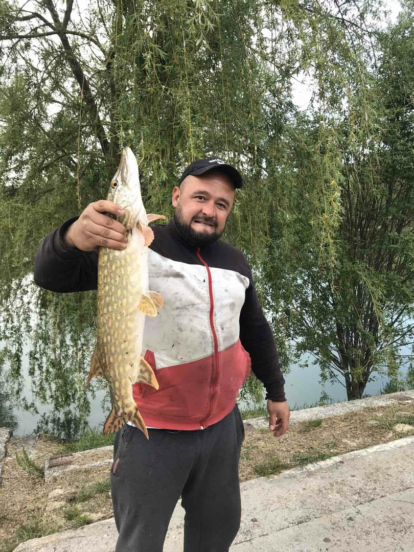 Вербочки платник со щукой сомом толстолобиком карпом и амуром Бахчисарай  Крым 2024